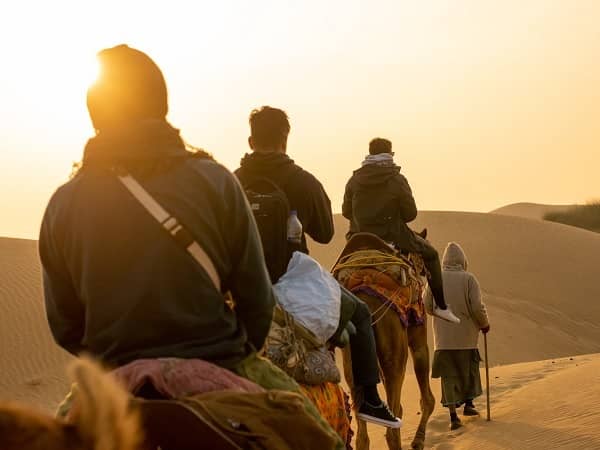 4 camel safari view